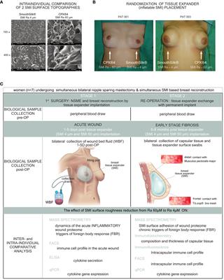 Silicone implant surface microtopography modulates inflammation and tissue repair in capsular fibrosis